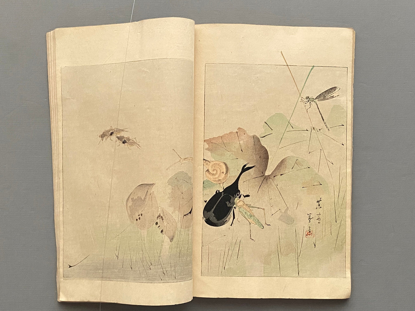 1893, "Bijutsu Sekai vol.22", Watanabe Seitei.