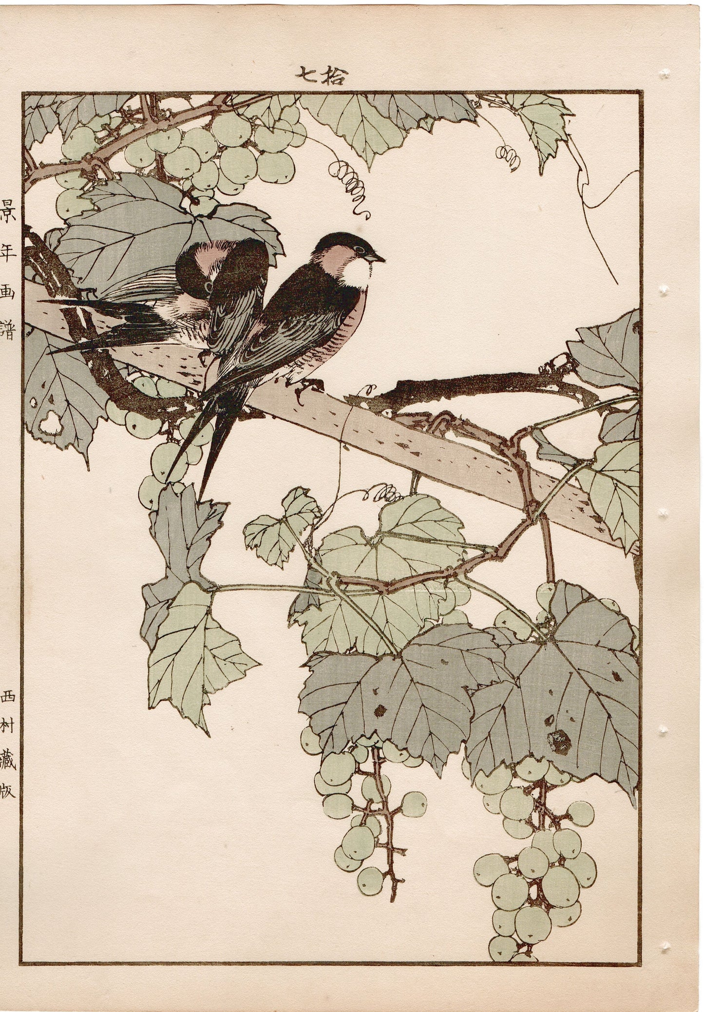 1892, Imao Keinen, "Grape, Swallow"