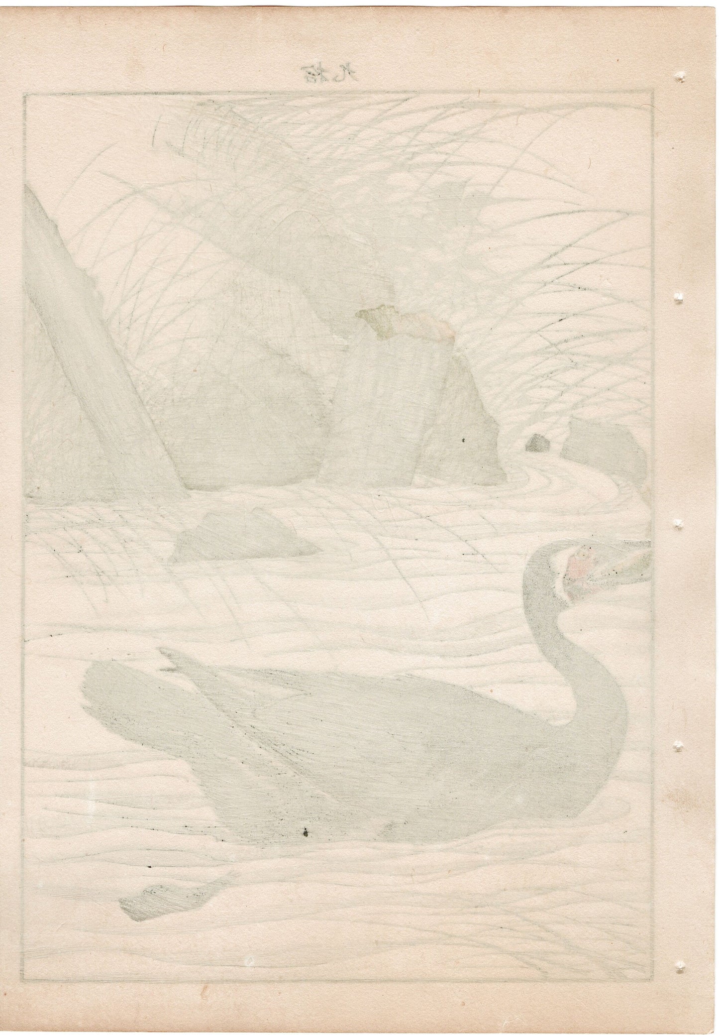 1892, Imao Keinen, "Clematis ternifora, Thatch, cormorant"