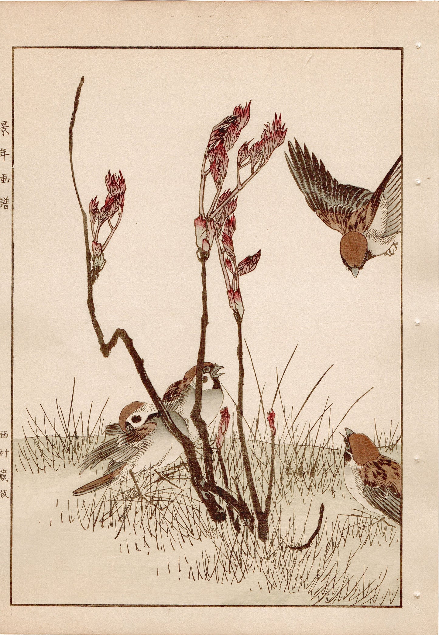 1892, Imao Keinen, " Asian melastome (Nobotan), Sparrows (Suzume) "
