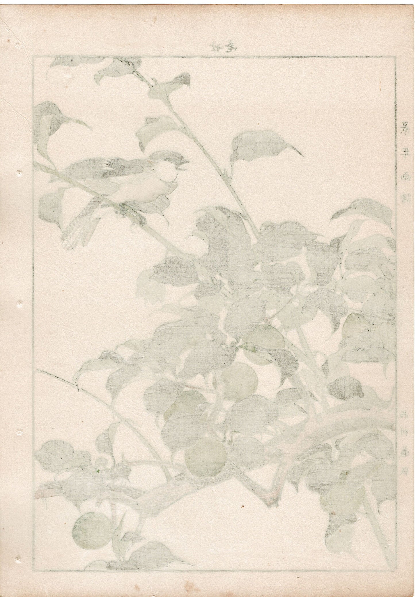 1892, Imao Keinen, "Green ume, Cinnamon sparrow"