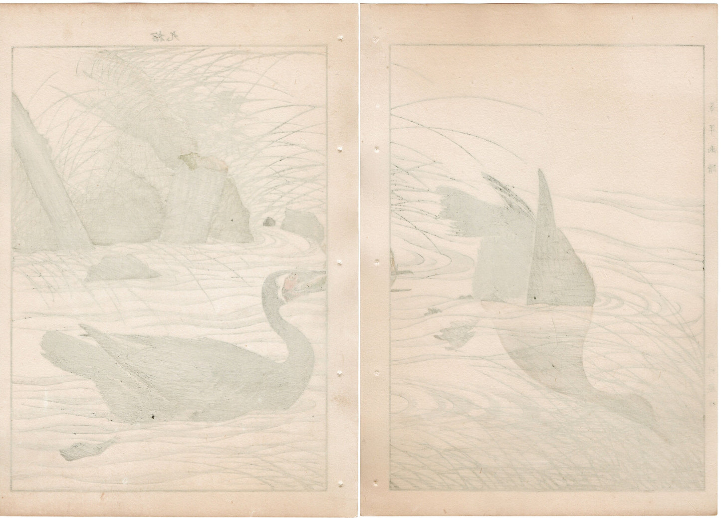 1892, Imao Keinen, "Clematis ternifora, Thatch, cormorant"