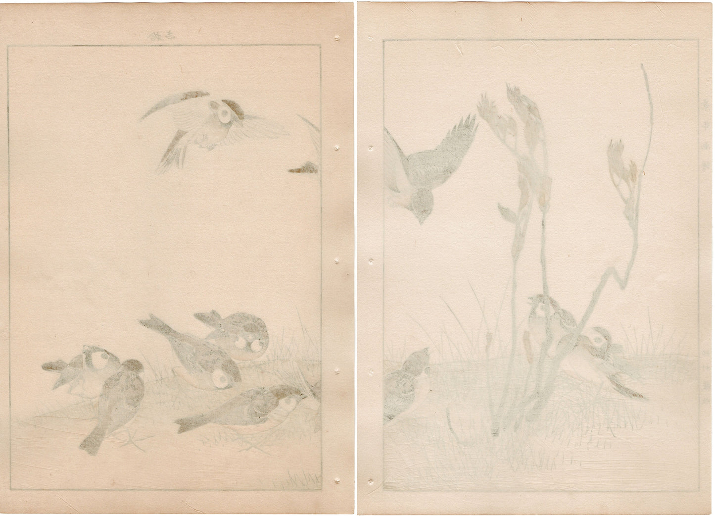 1892, Imao Keinen, " Asian melastome (Nobotan), Sparrows (Suzume) "