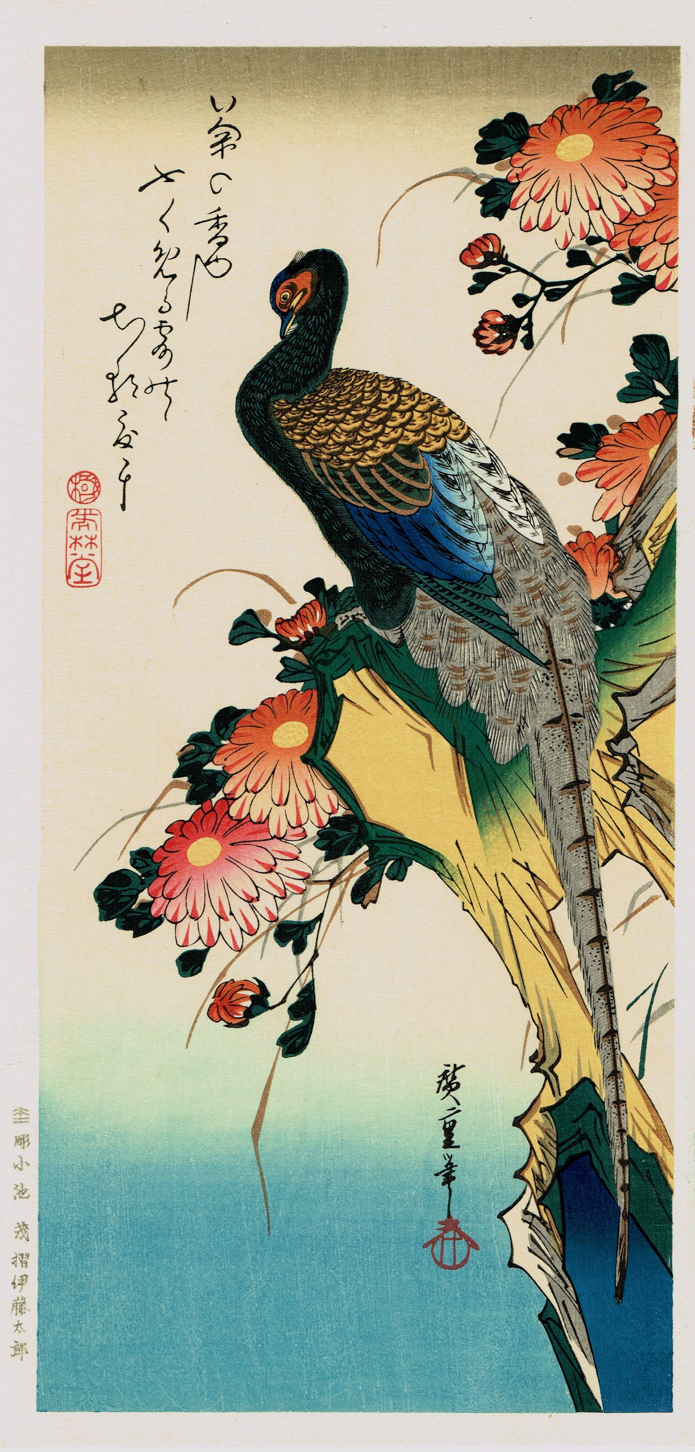 Flowers and Birds