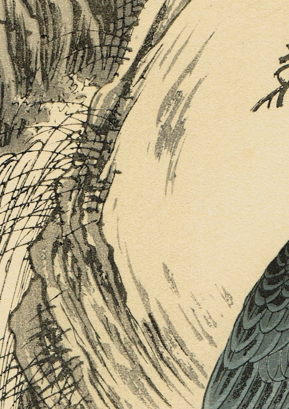 1892, apanese Antique Original Woodcut Print, Imao Keinen, "Fir, Common cuckoo"