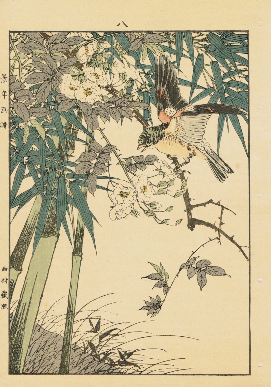 1892, Japanese Antique Original Woodcut Print, Imao Keinen, "Rosa multiflora, Bamboo, Brambling"