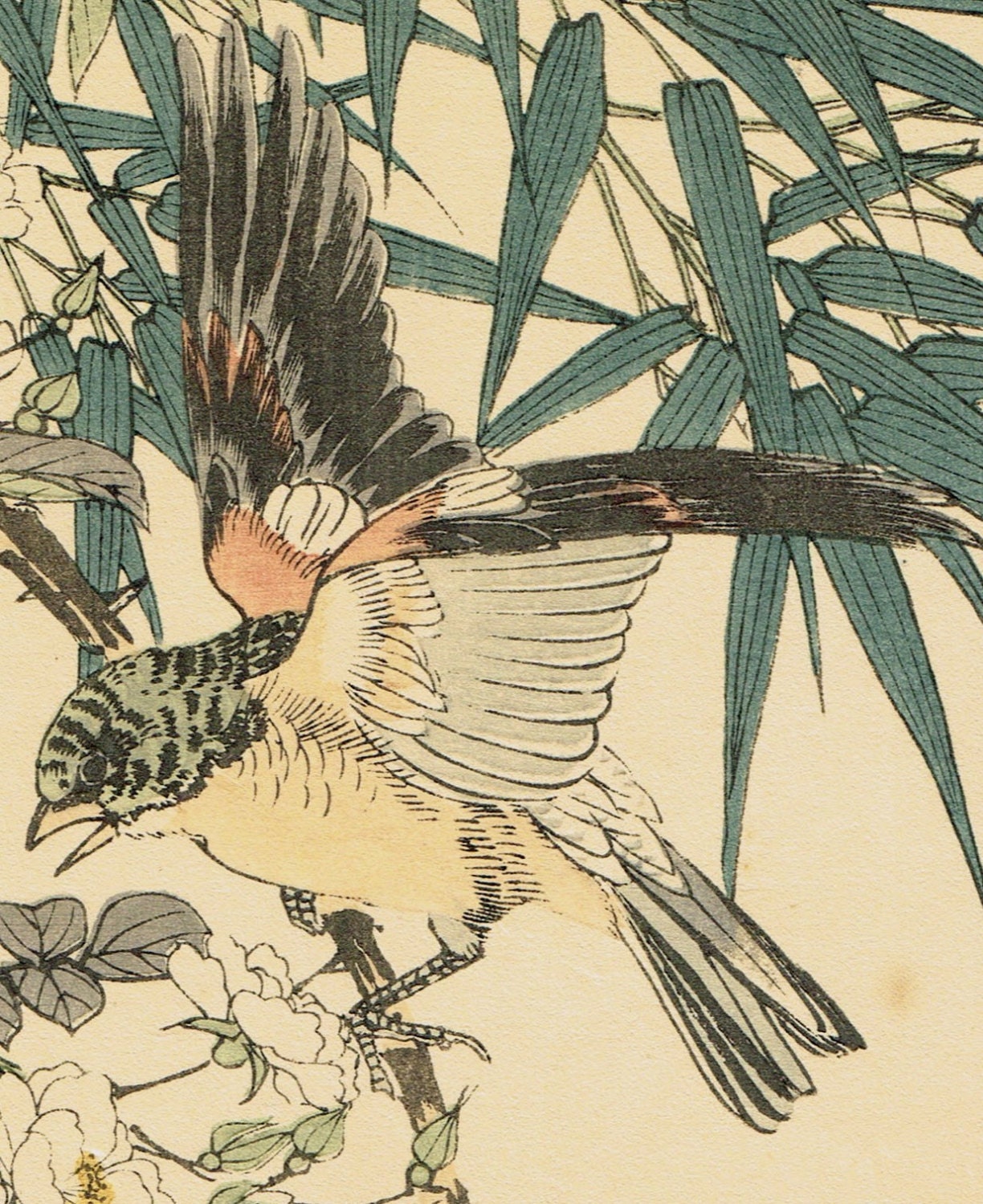 1892, Japanese Antique Original Woodcut Print, Imao Keinen, "Rosa multiflora, Bamboo, Brambling"