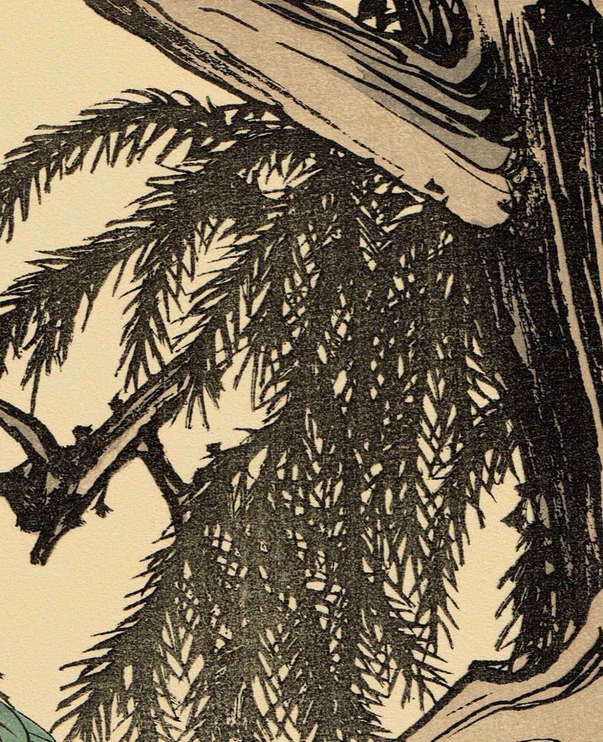 1892, Japanese Antique Original Woodblock Print, Imao Keinen, "Japanese cedar,Turtledove"