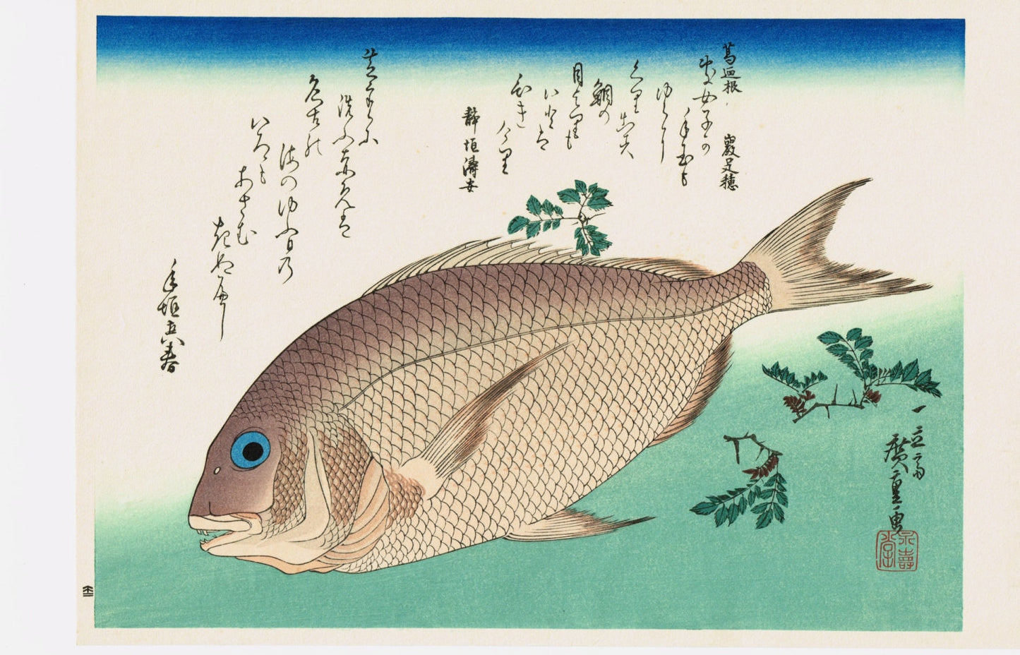 Japanese Ukiyoe, Woodblock print, Hiroshige, "Sea Bream & Japanese Pepper"