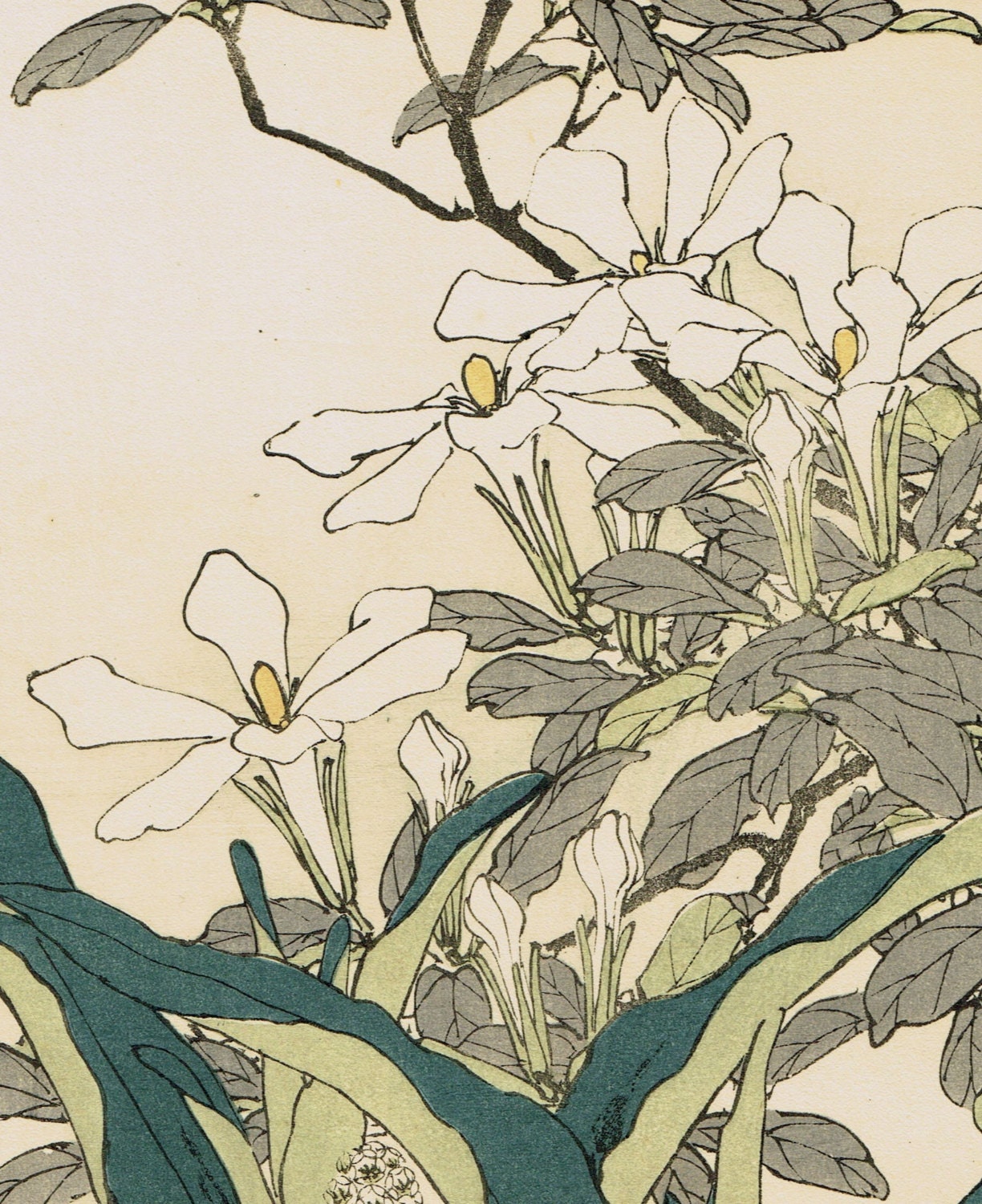 1892, Japanese Antique Original Woodcut Print, Imao Keinen, "Common gardenia, Rohdea, Gray bunting"