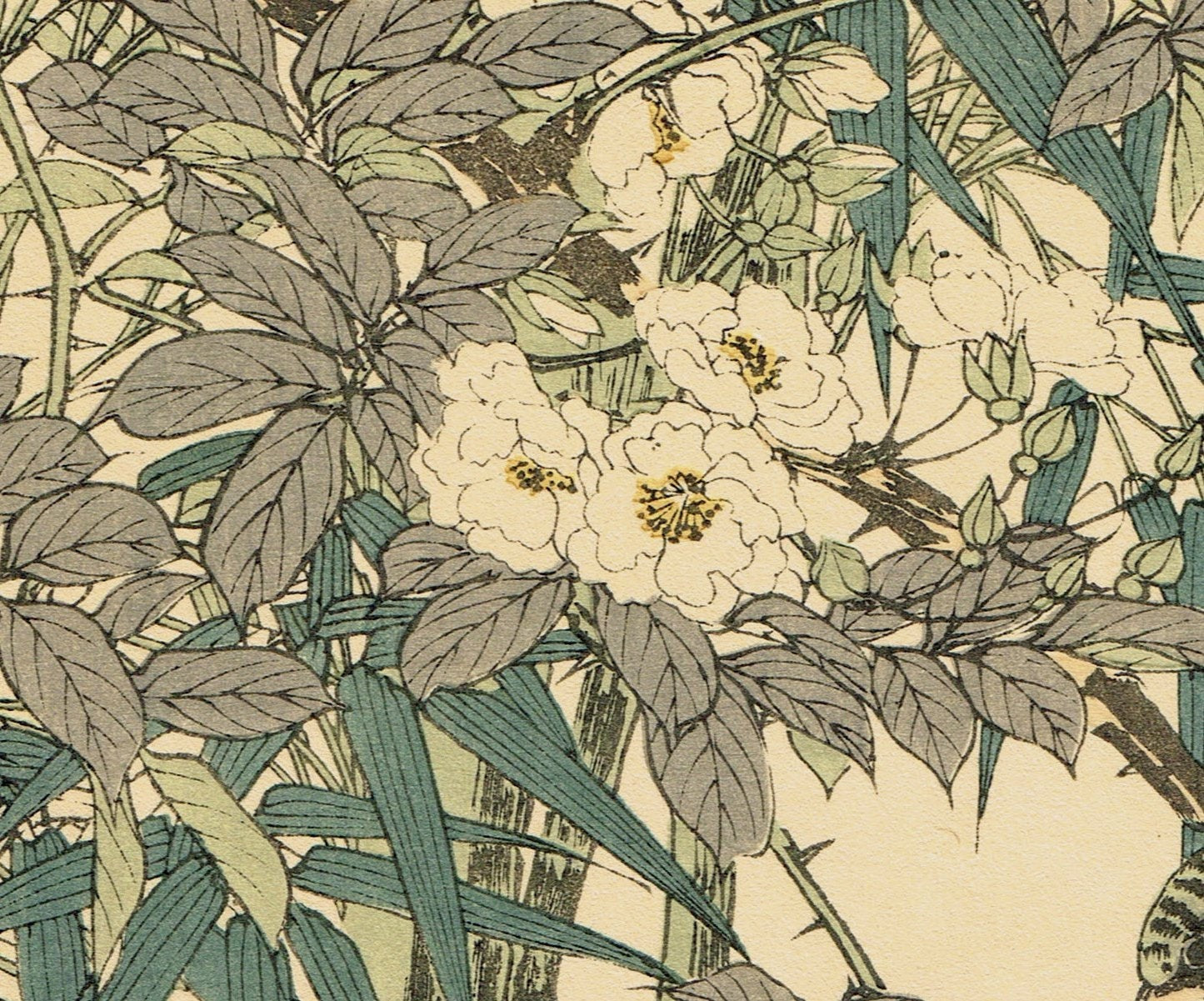 1892, Japanese Antique Original Woodcut Print, Imao Keinen, "Rosa multiflora, Bamboo, Brambling"
