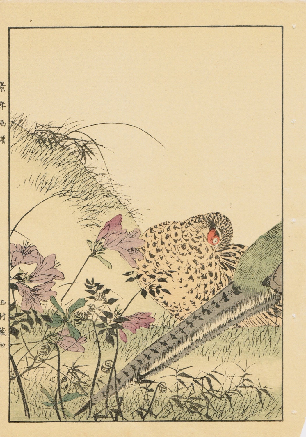 1891, Japanese Antique Original Woodcut Print, Imao Keinen, "Azalea, Osmund, Japanese Pheasant"