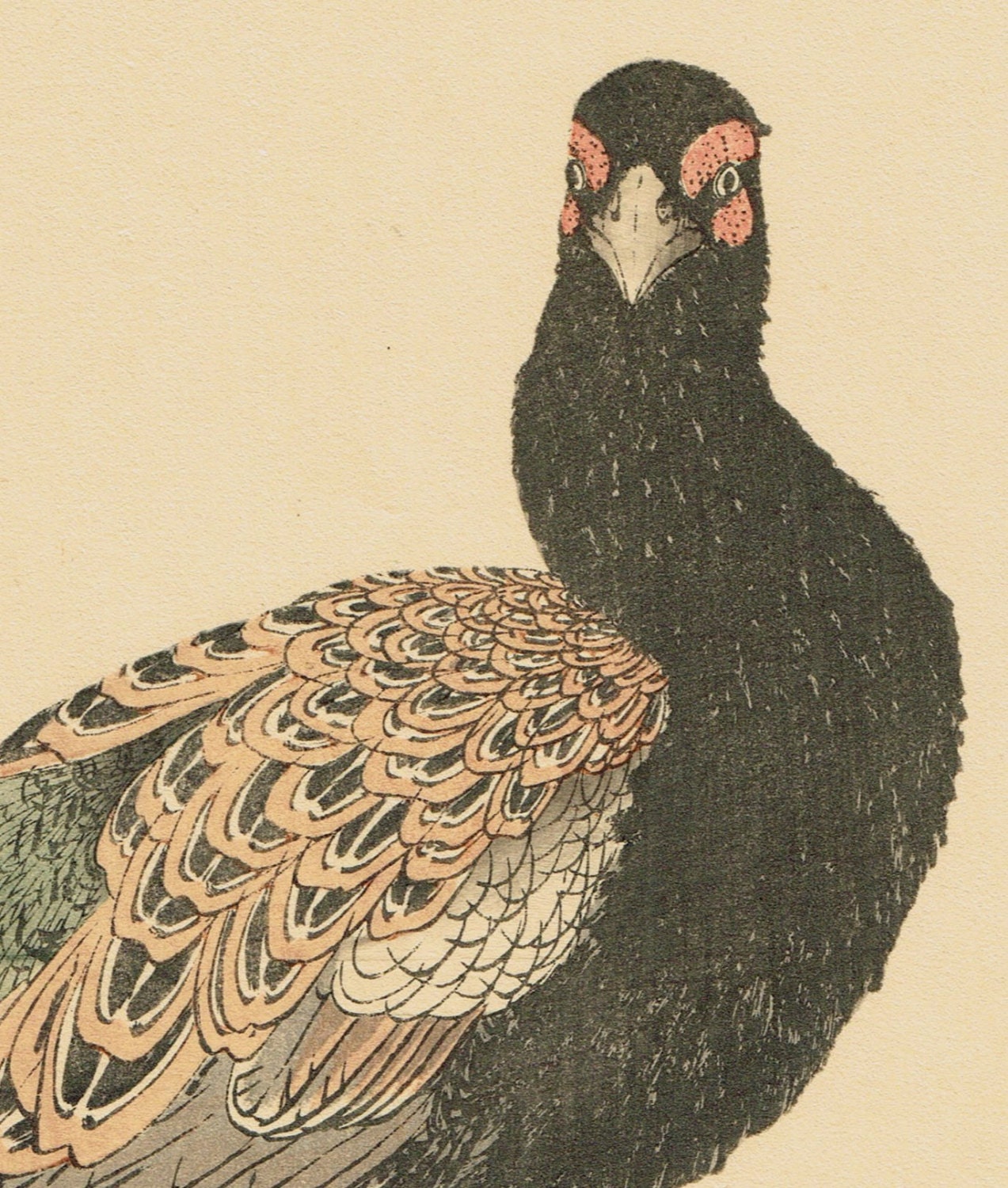 1891, Japanese Antique Original Woodcut Print, Imao Keinen, "Azalea, Osmund, Japanese Pheasant"
