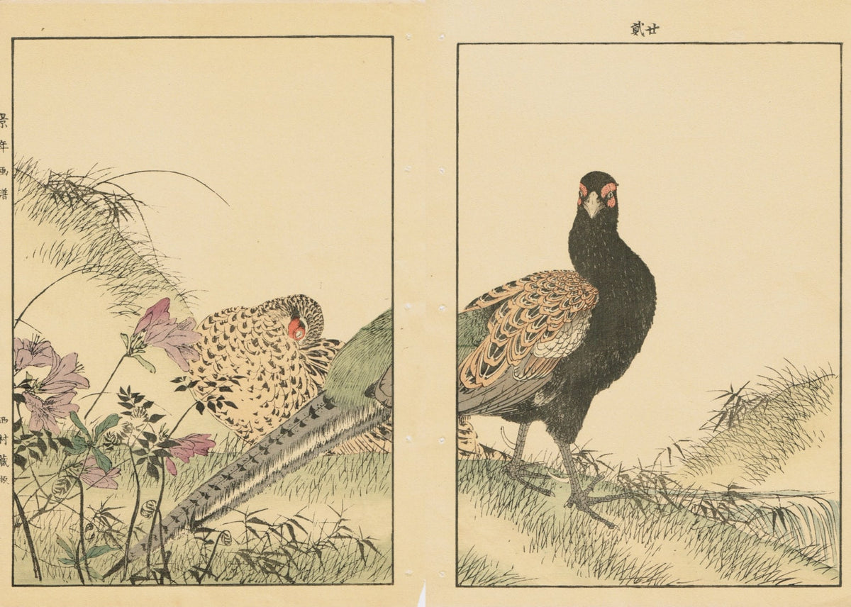 1891, Japanese Antique Original Woodcut Print, Imao Keinen, "Azalea, Osmund, Japanese Pheasant"