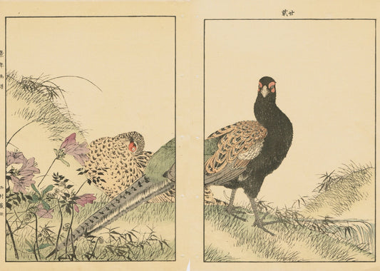1891, Japanese Antique Original Woodcut Print, Imao Keinen, "Azalea, Osmund, Japanese Pheasant"