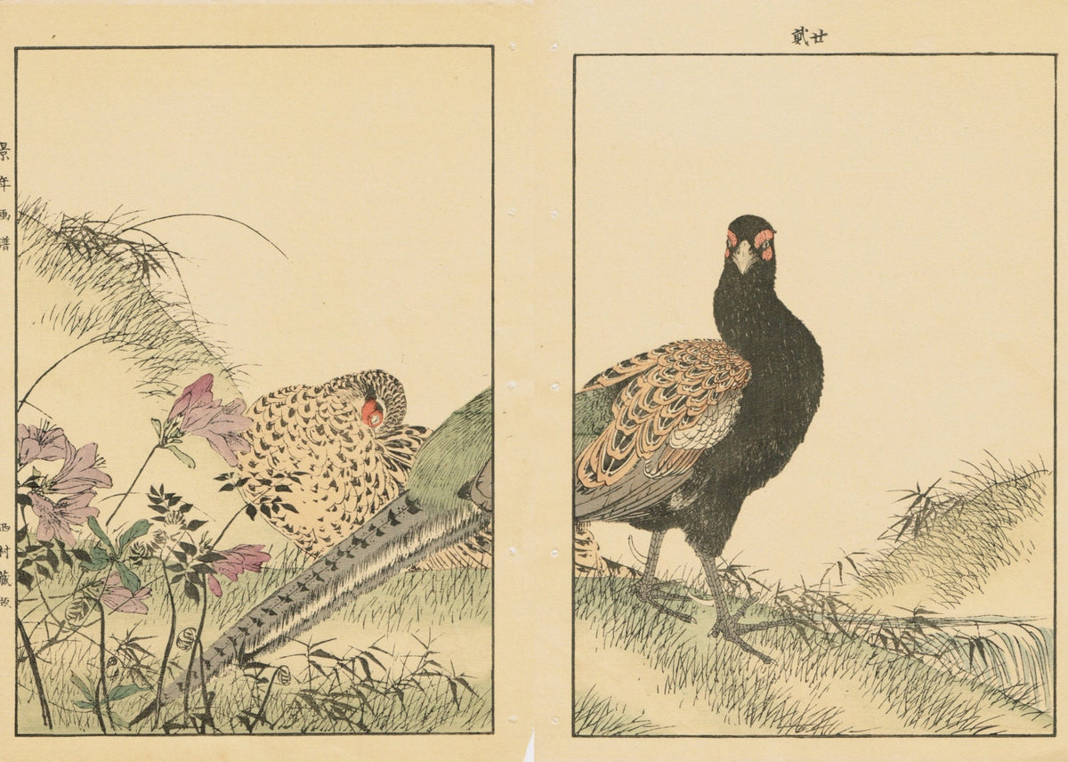 1891, Japanese Antique Original Woodcut Print, Imao Keinen, "Azalea, Osmund, Japanese Pheasant"