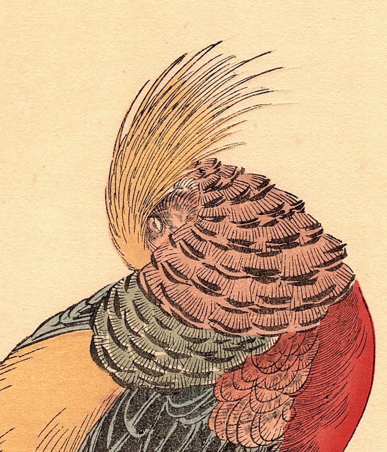 1892, Japanese Antique Original Woodblock Print, Imao Keinen, "Golden Pheasant"