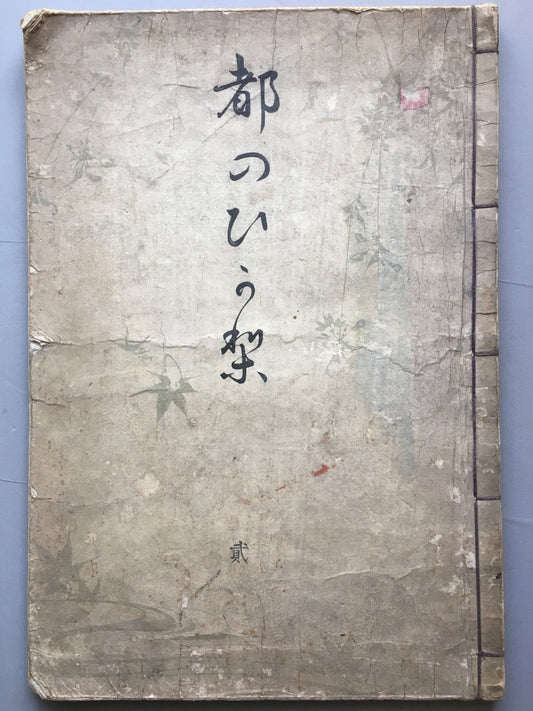 1899, Japanese vintage original woodblock print book, Ueno Seiko, "Miyako no Hikari #2"