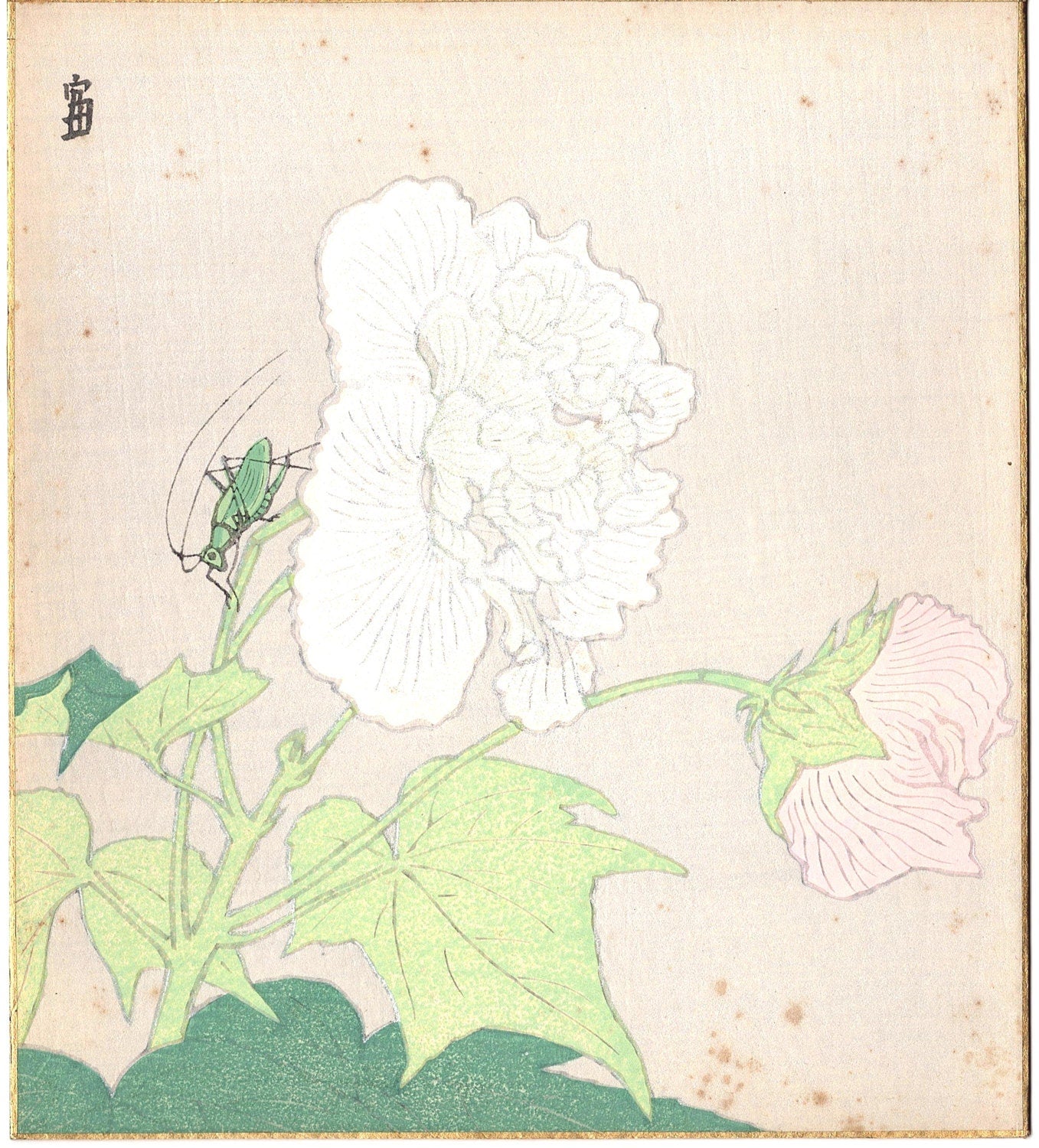 Japanese Ukiyoe, Original Sosaku Hanga, Tokuriki Tomikichiro.