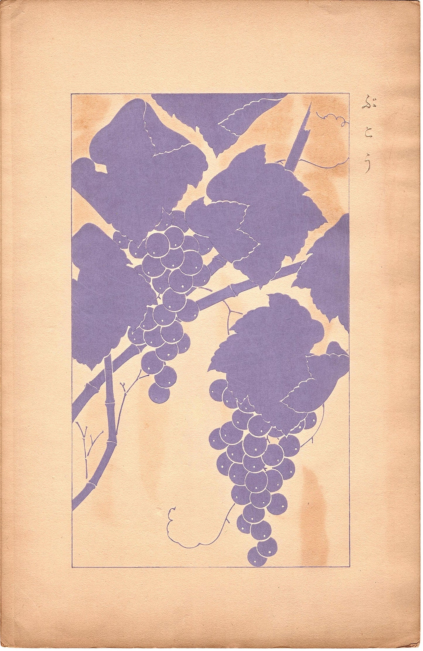 Japanese design, antique, 1932,  Kawarazaki Kodo, "Grape", woodcut print.