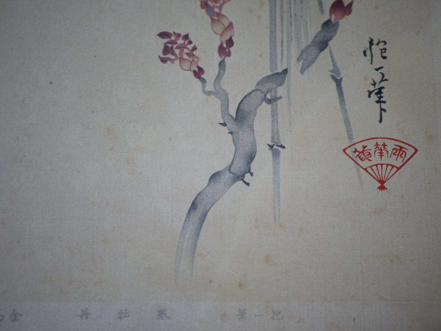 1931, Japanese antique woodblock print, Sakai Hoitsu, "Album of Hundred Flowers by Artists of Rinpa School,  Peony", woodcut print.