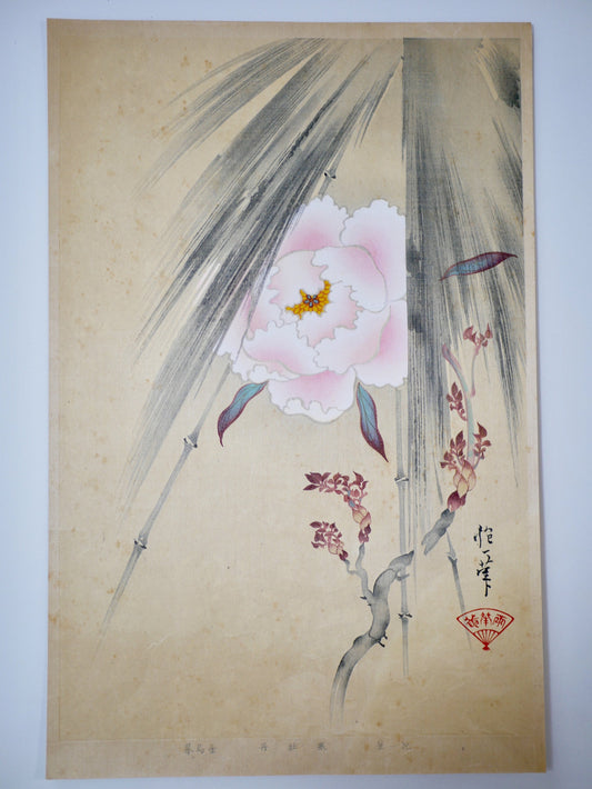 1931, Japanese antique woodblock print, Sakai Hoitsu, "Album of Hundred Flowers by Artists of Rinpa School,  Peony", woodcut print.