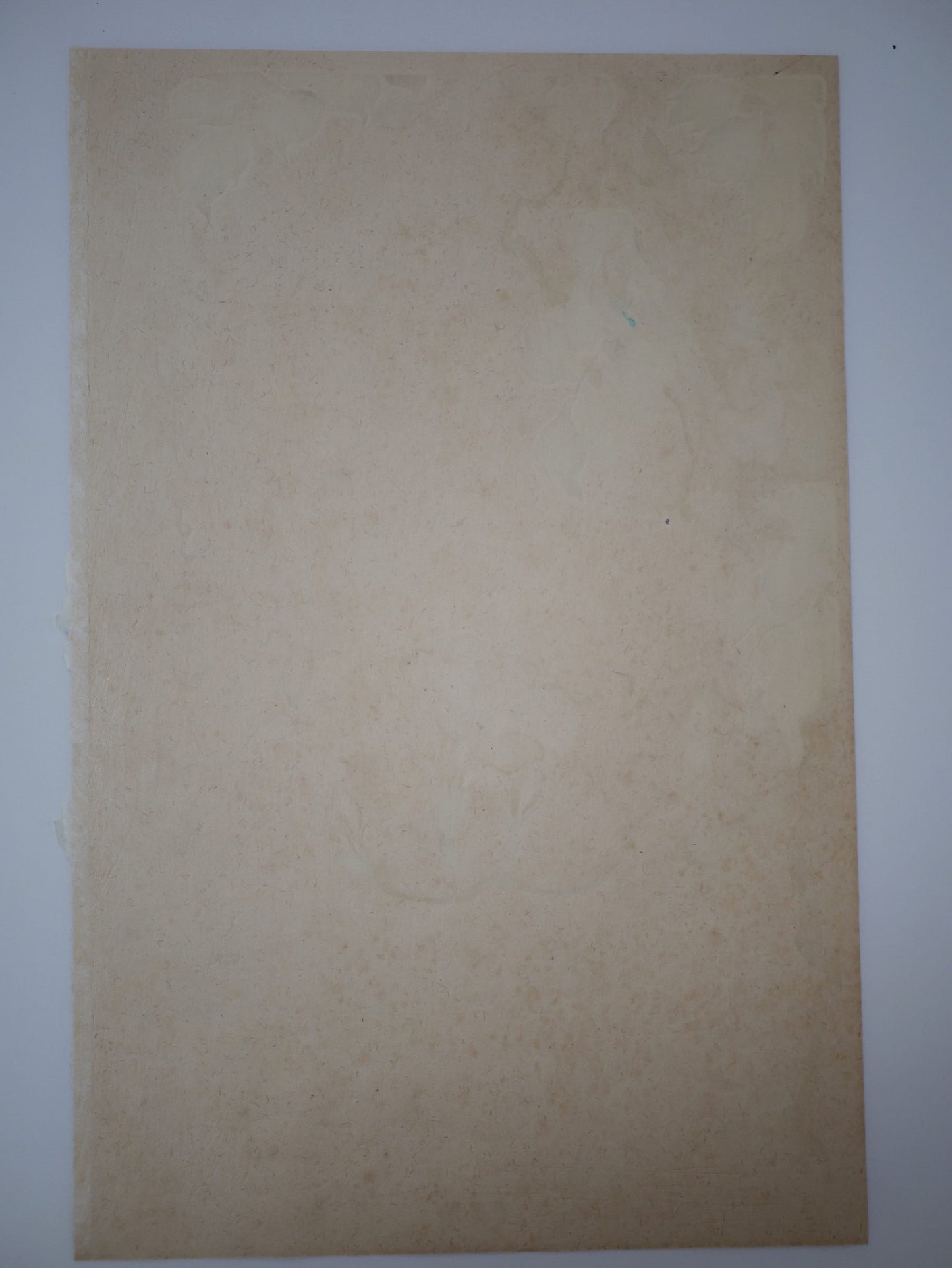 1931, Japanese antique woodblock print, Sakai Hoitsu, "Album of Hundred Flowers by Artists of Rinpa School,  Campsis grandiflora"