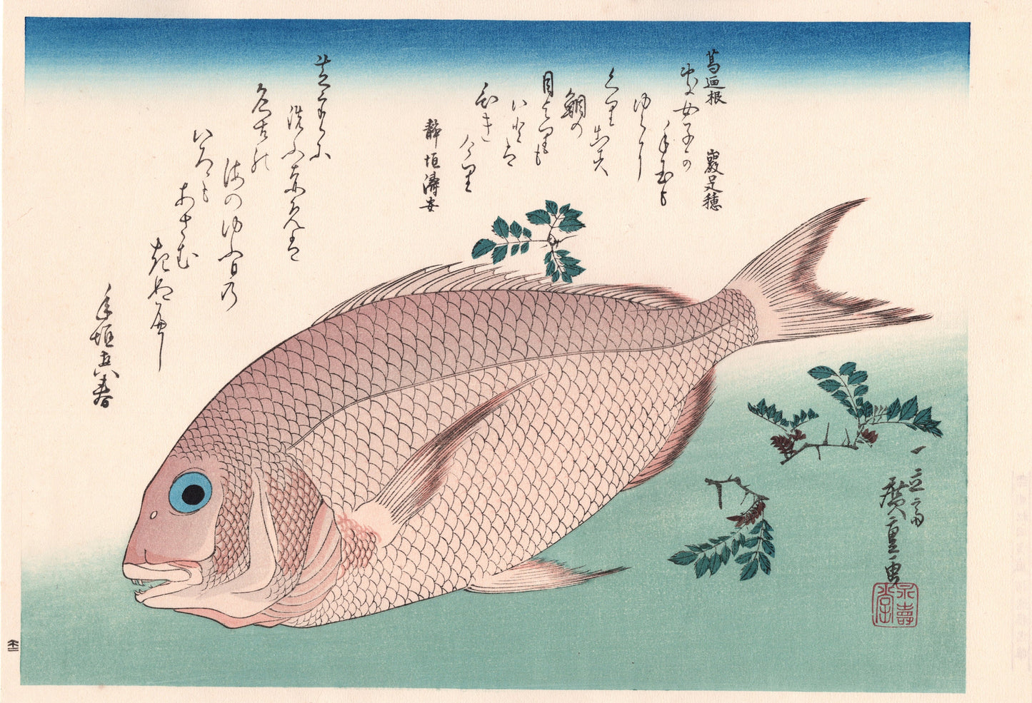 Japanese Ukiyoe, woodcut print, Hiroshige, "Sea Bream & Japanese Pepper".
