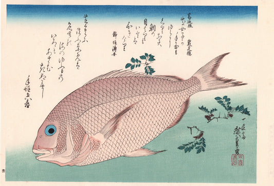 Japanese Ukiyoe, woodcut print, Hiroshige, "Sea Bream & Japanese Pepper".