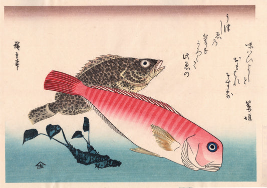 Japanese Ukiyoe, woodcut print, Hiroshige, "Bream, Rockfish & Wasabi".