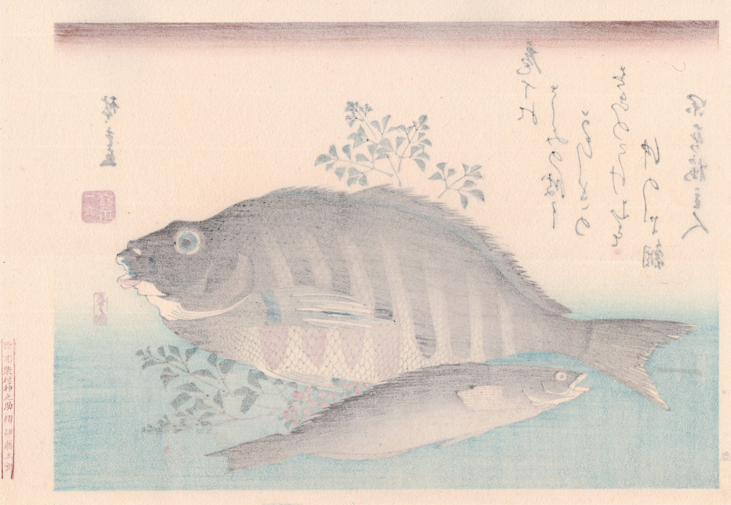 Japanese Ukiyoe, woodcut print, Hiroshige, "Striped Sea Bream, Rock Trout & Nandina".