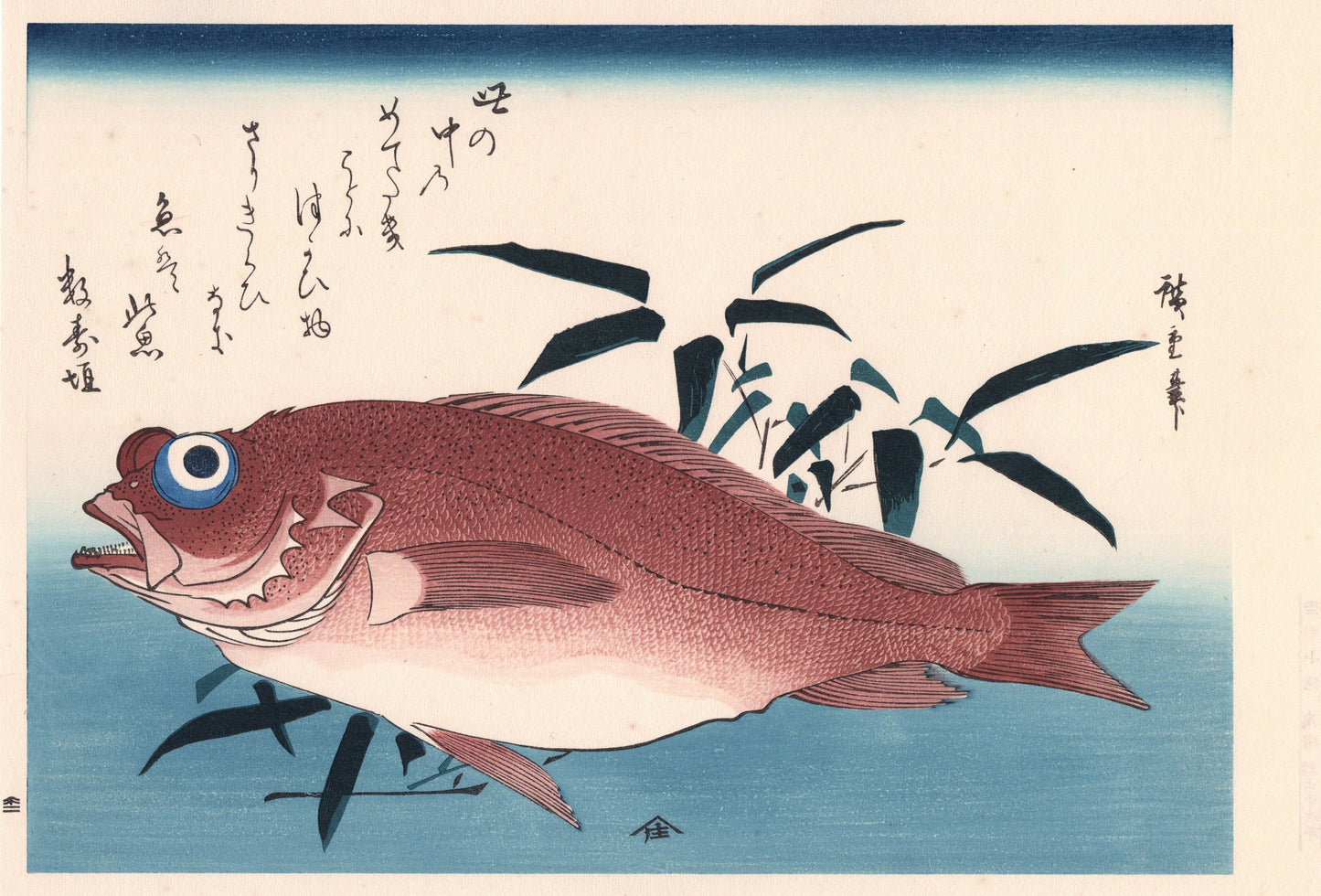Japanese Ukiyoe, woodcut print, Hiroshige, "Goggle-eyed Sea Bream ＆ Bamboo Grass".