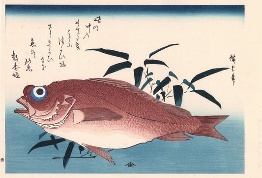 Japanese Ukiyoe, woodcut print, Hiroshige, "Goggle-eyed Sea Bream ＆ Bamboo Grass".