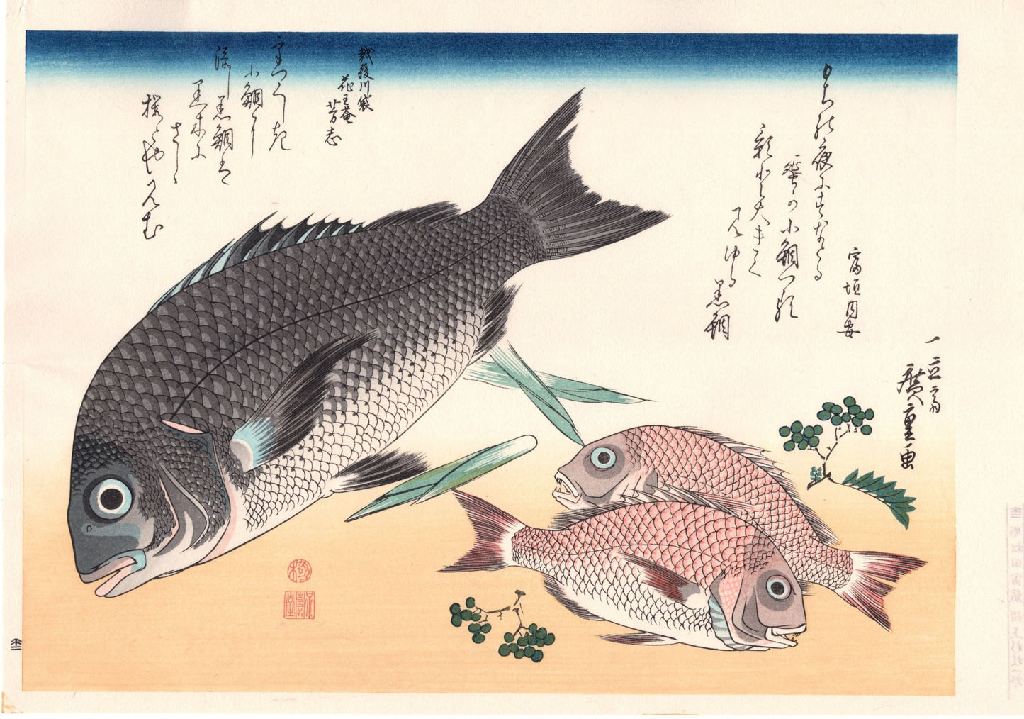 Japanese Ukiyoe, woodcut print, Hiroshige, "Black Sea Bream, Crimson Sea Bream & Japanese Pepper".