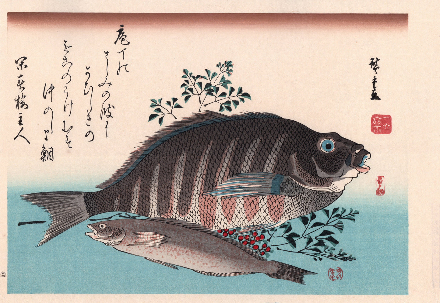 Japanese Ukiyoe, woodcut print, Hiroshige, "Striped Sea Bream, Rock Trout & Nandina".
