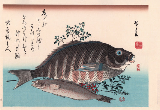 Japanese Ukiyoe, woodcut print, Hiroshige, "Striped Sea Bream, Rock Trout & Nandina".