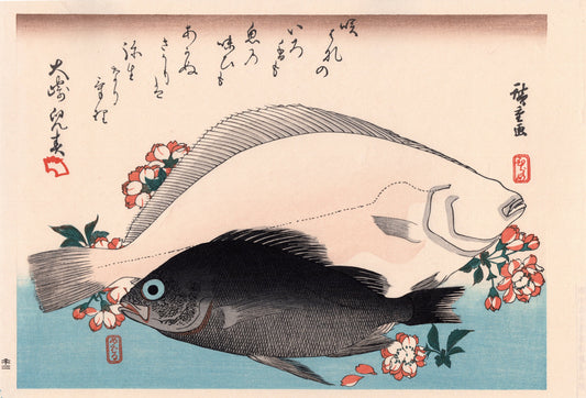 Japanese Ukiyoe, woodcut print, Hiroshige, "Halibut, Rockfish & Cherry Blossoms".