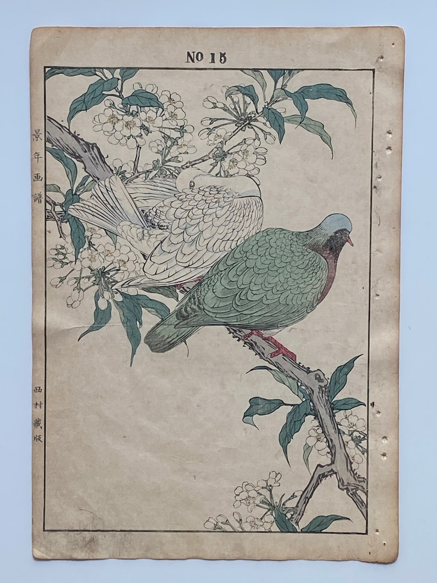 Japanese Antique Original Woodcut Print, 1891, Imao Keinen, " Almond (Hatankyo), Pigeons (Nishikibato) "