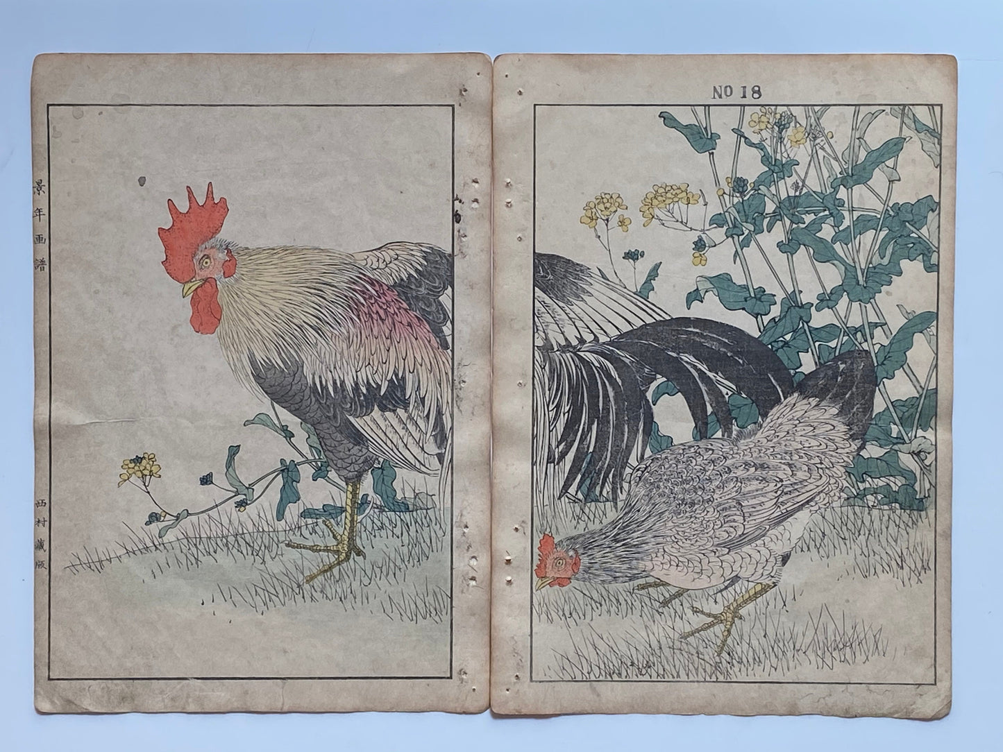 Japanese Antique Original Woodcut Print, 1891, Imao Keinen, " Rapeseeds (Aburana), Roosters (Niwatori) "