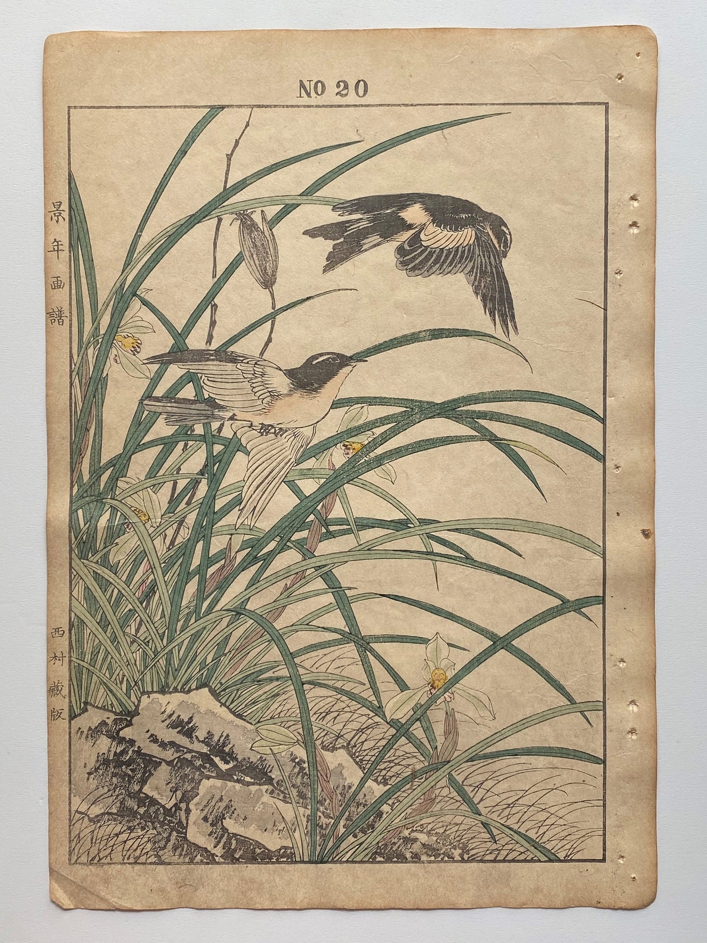 Japanese Antique Original Woodcut Print, 1891, Imao Keinen, " Riverstream orchid (Hokuri), Swallows (Tsubame) "