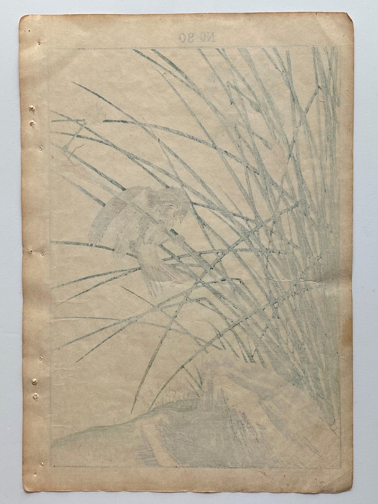 Japanese Antique Original Woodcut Print, 1891, Imao Keinen, " Jonquil daffodil (Kizuisen), Chestnut Bunting (Shimanojiko) "