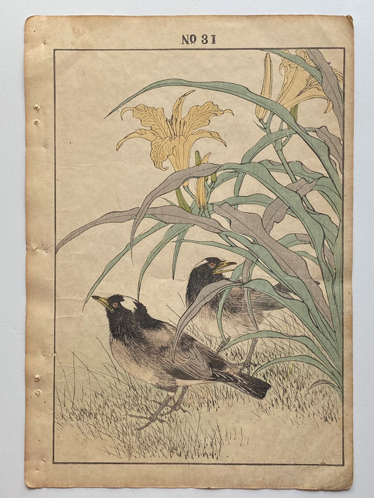 Japanese Antique Original Woodcut Print, 1891, Imao Keinen, " Orange Daylily (Kanzo), Thrush (Kachintsumugi) "