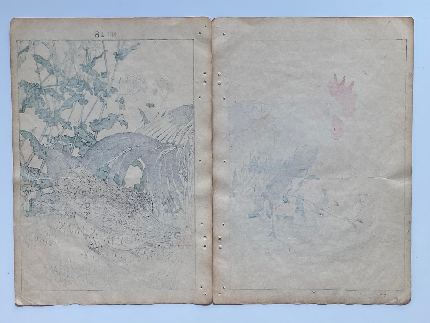 Japanese Antique Original Woodcut Print, 1891, Imao Keinen, " Rapeseeds (Aburana), Roosters (Niwatori) "