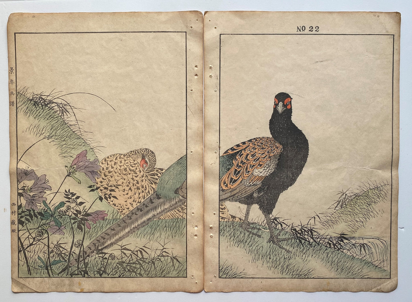 Japanese Antique Original Woodcut Print, 1891, Imao Keinen, " Azalea (Tsutsuji), Zenmai, Pheasant (Kiji) "