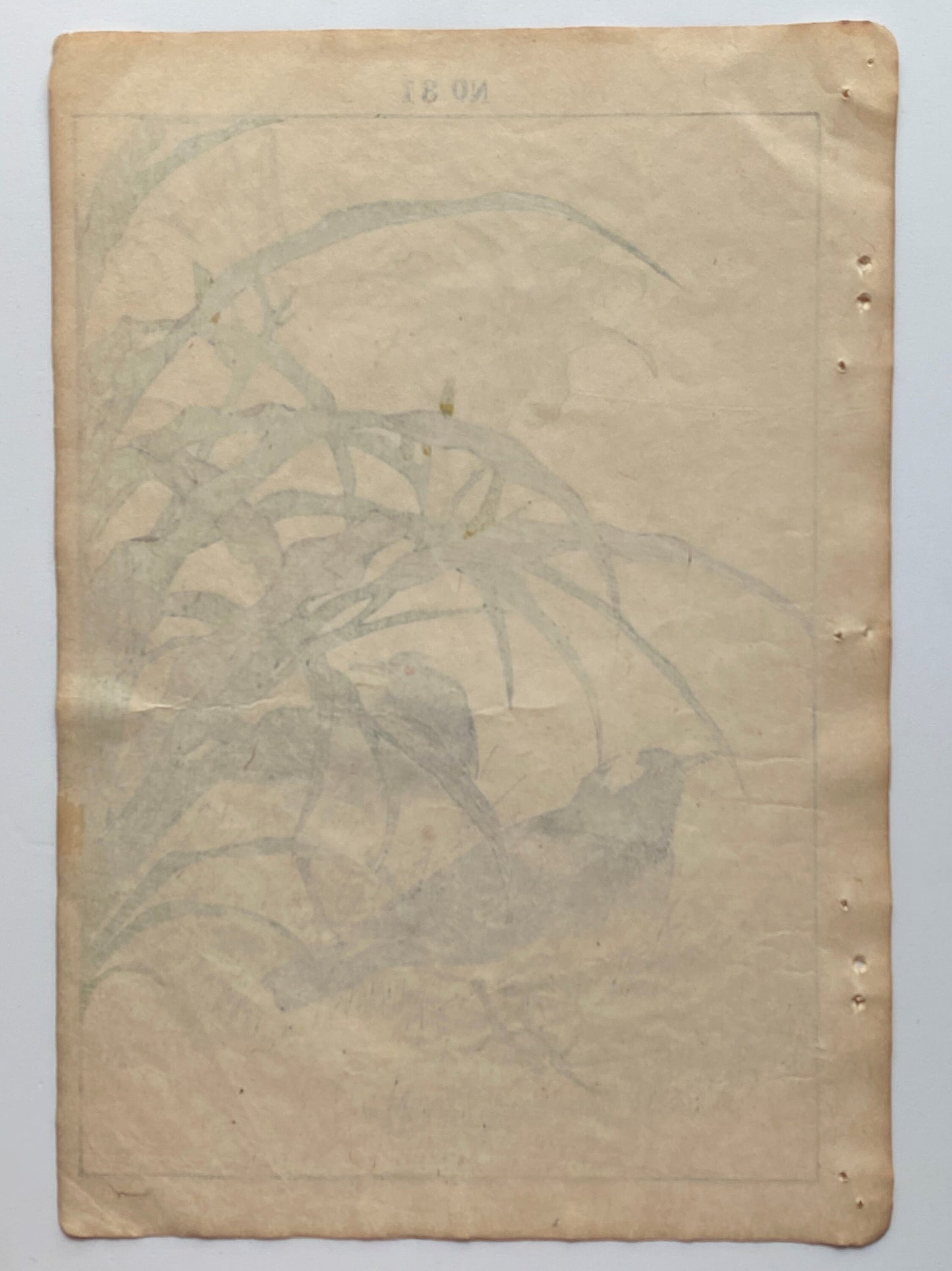Japanese Antique Original Woodcut Print, 1891, Imao Keinen, " Orange Daylily (Kanzo), Thrush (Kachintsumugi) "