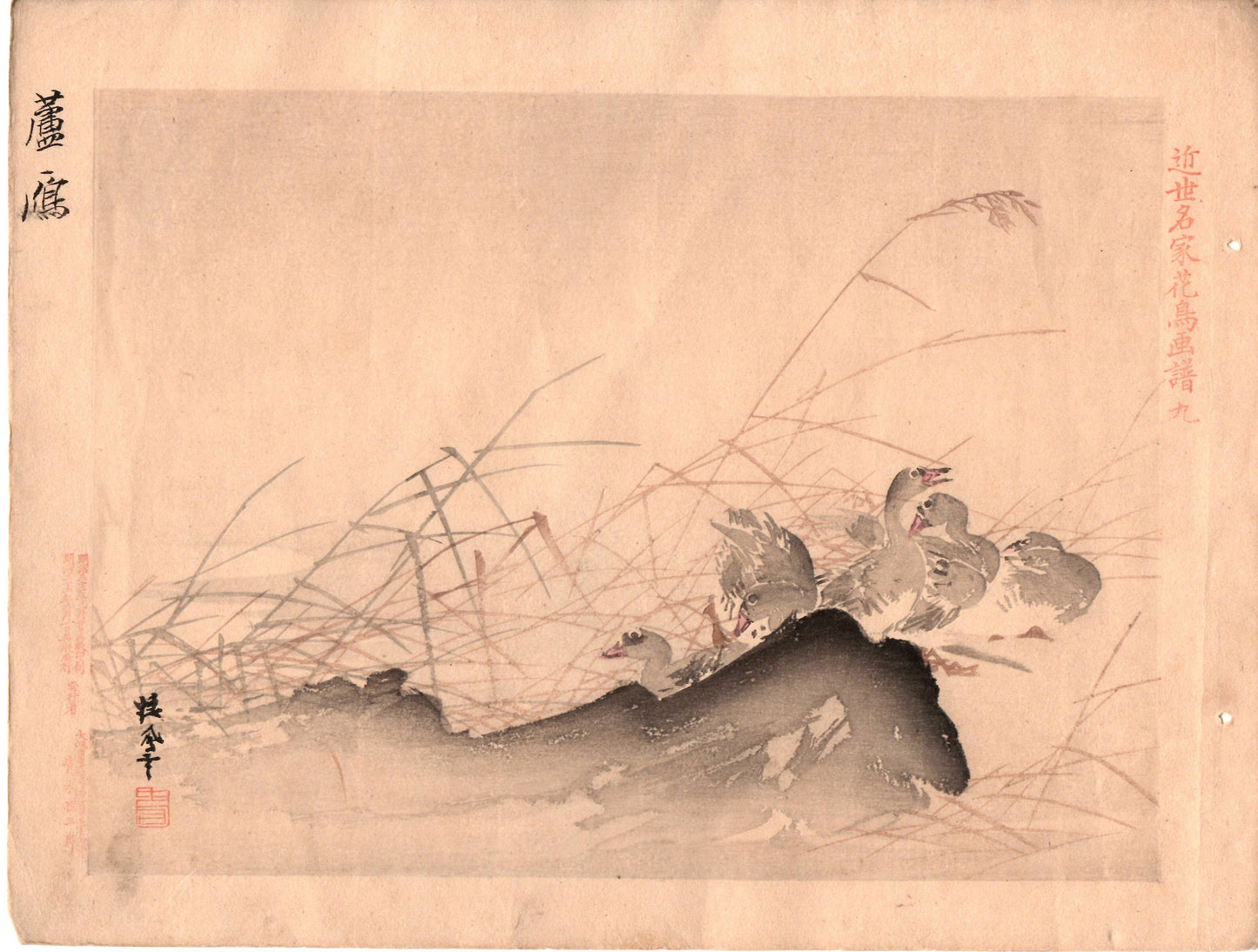 Japanese woodblock print, 1899, Takeuchi Seiho, Common Reed and Goose.