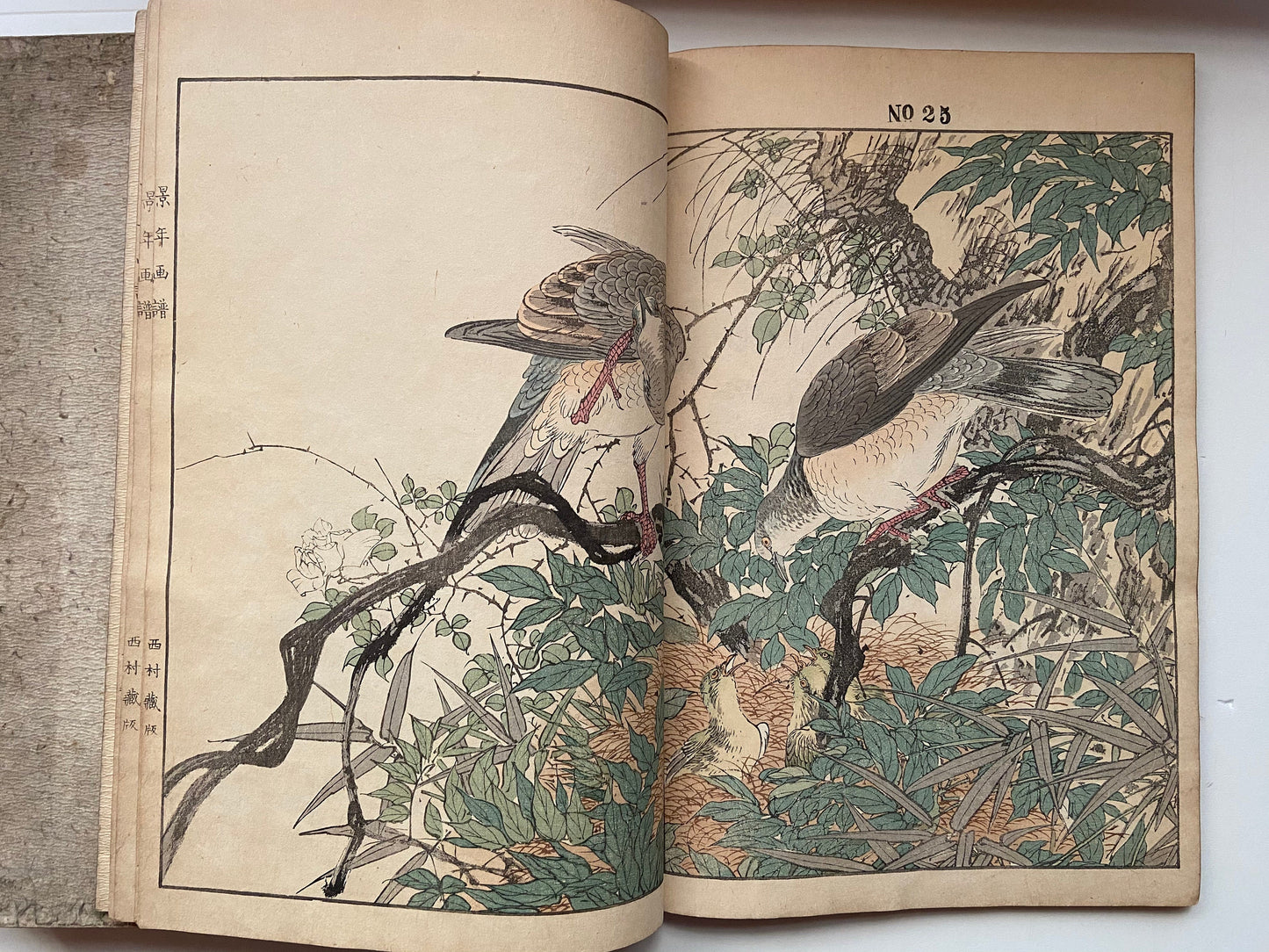 Japanese woodcut book, Imao Keinen, "Keinen kacho gafu (Keinen's Book of Birds and Flowers)".