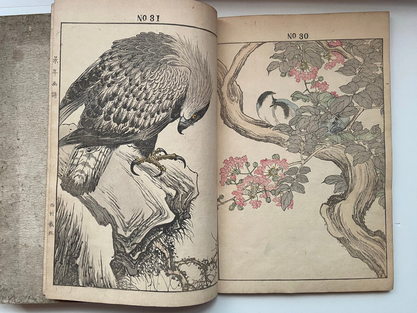 Japanese woodcut book, Imao Keinen, "Keinen kacho gafu (Keinen's Book of Birds and Flowers)".