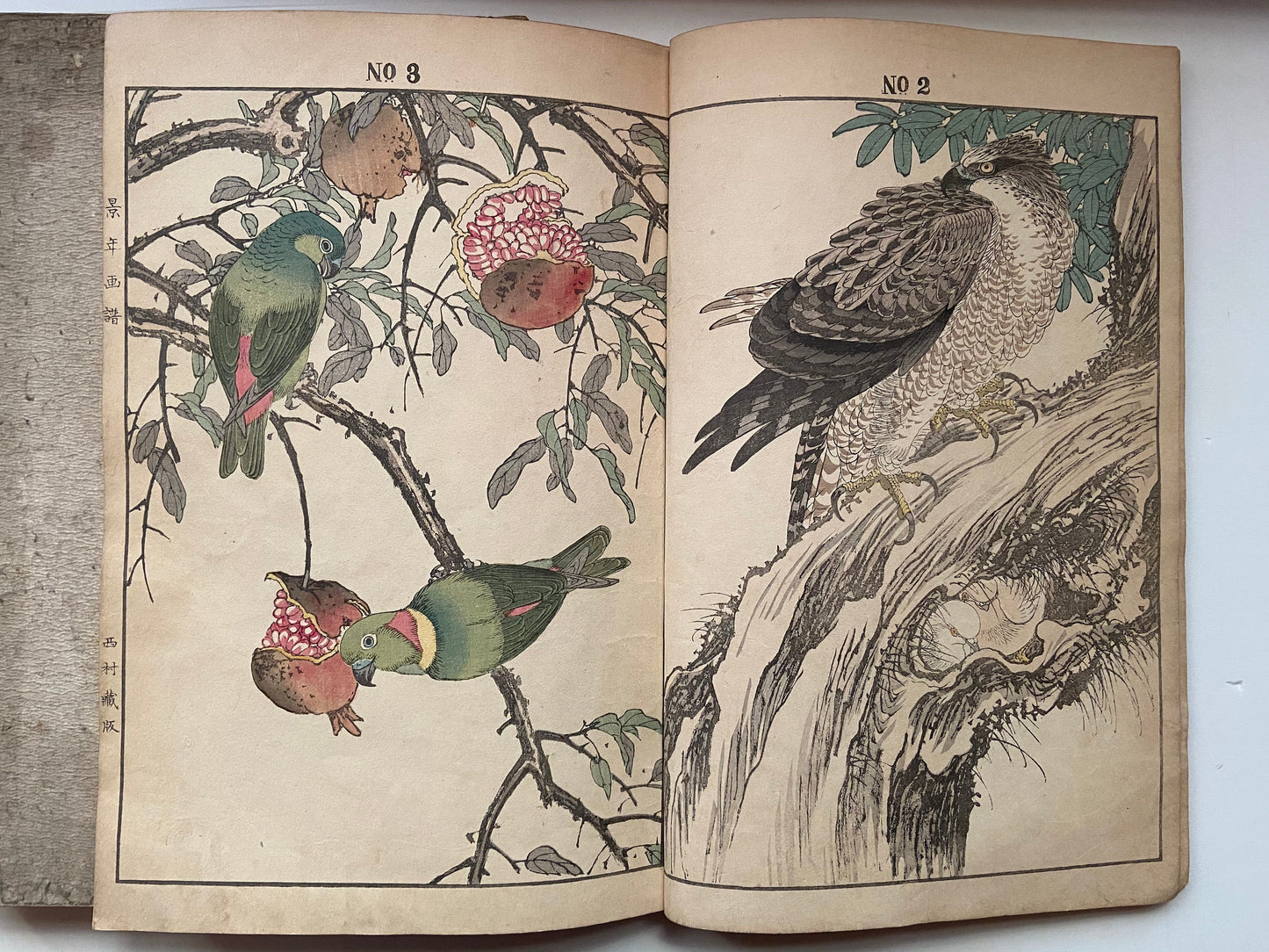Japanese woodcut book, Imao Keinen, "Keinen kacho gafu (Keinen's Book of Birds and Flowers)".