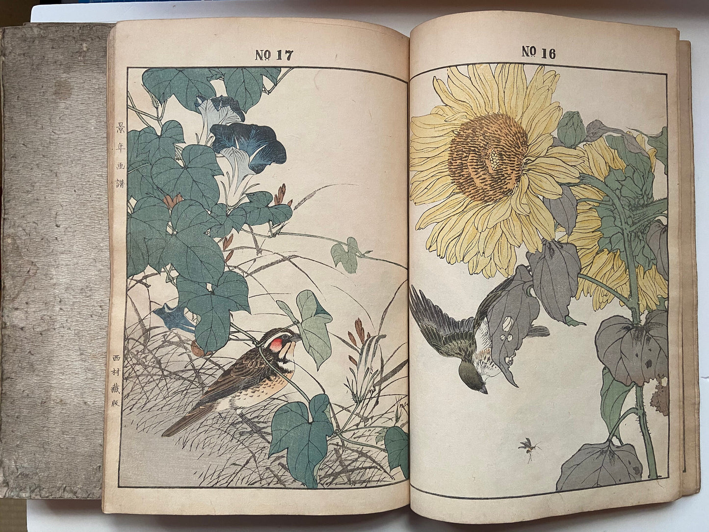 Japanese woodcut book, Imao Keinen, "Keinen kacho gafu (Keinen's Book of Birds and Flowers)".